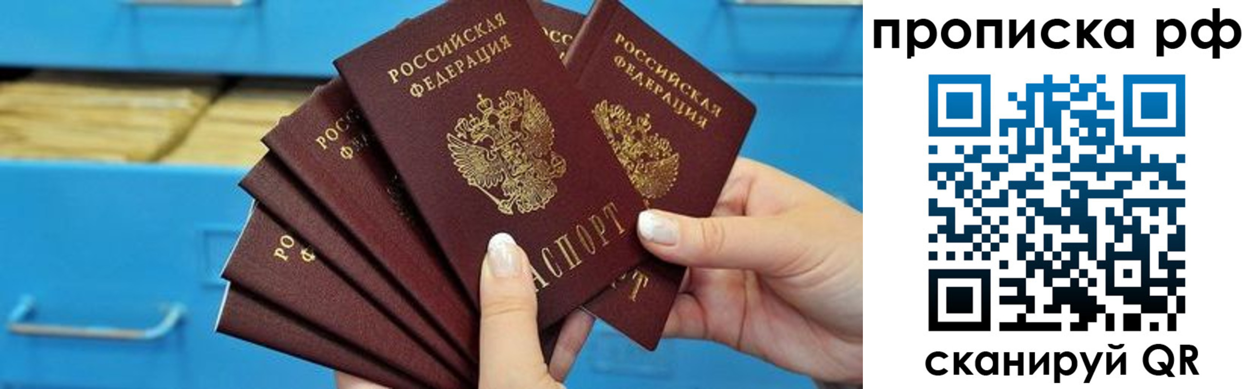 прописка поиск в Воронежской области